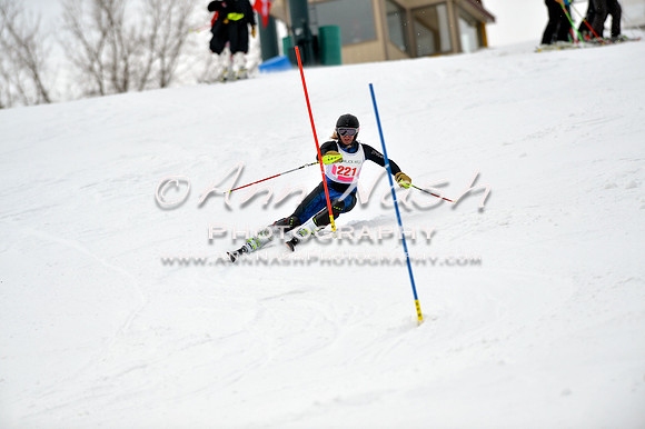 alpine_2015-01-22_11-37-09_DSC_0141_©AnnNashPhotographyLLC_2015