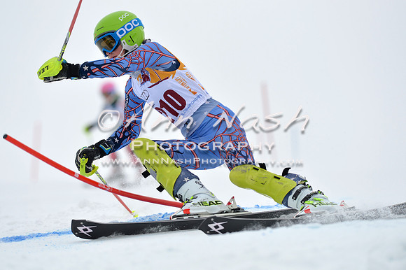 alpine_2015-02-14_13-31-18_DSC_8373_©AnnNashPhotographyLLC_2015