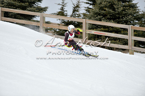 alpine_2015-01-22_11-40-29_DSC_0244_©AnnNashPhotographyLLC_2015