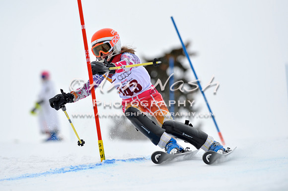 alpine_2015-02-14_12-55-18_DSC_7683_©AnnNashPhotographyLLC_2015
