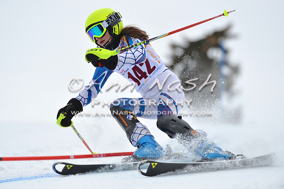 alpine_2015-02-14_12-47-38_DSC_7554_©AnnNashPhotographyLLC_2015