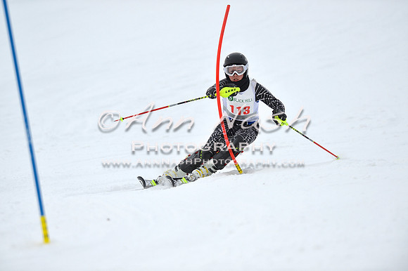 alpine_2015-01-22_11-55-21_DSC_0823_©AnnNashPhotographyLLC_2015