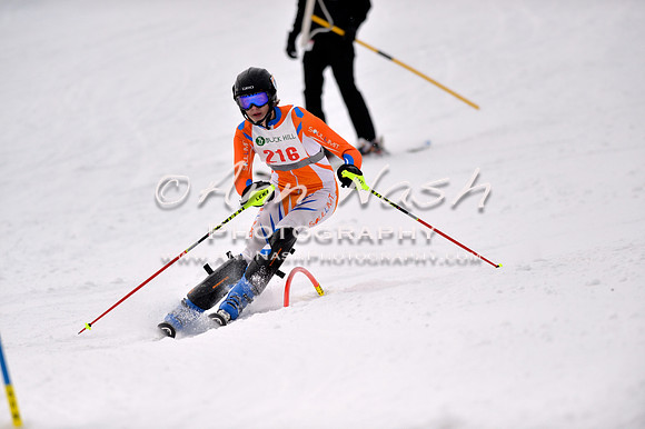 alpine_2015-01-22_12-39-52_DSC_2109_©AnnNashPhotographyLLC_2015