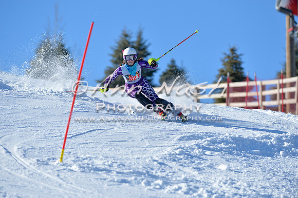 alpine_2015-01-22_14-40-15_DSC_2967_©AnnNashPhotographyLLC_2015