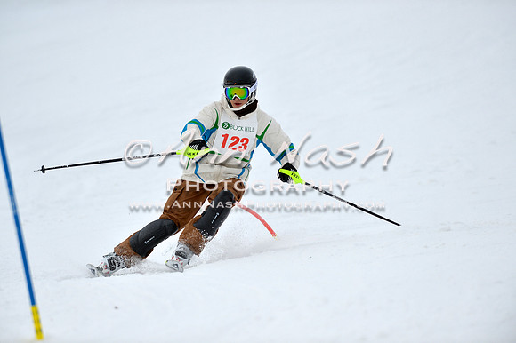 alpine_2015-01-22_11-55-51_DSC_0841_©AnnNashPhotographyLLC_2015
