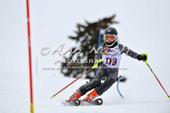 alpine_2015-02-14_13-04-13_DSC_7877_©AnnNashPhotographyLLC_2015