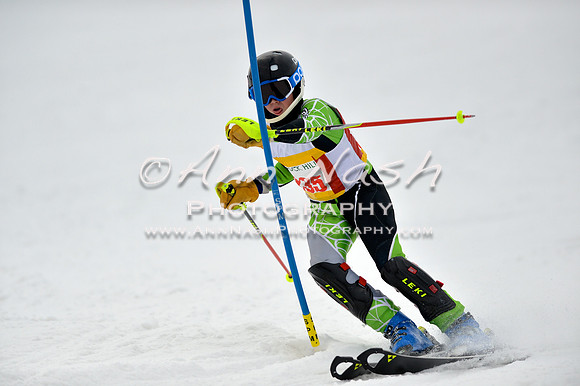 alpine_2015-01-22_12-27-22_DSC_1807_©AnnNashPhotographyLLC_2015
