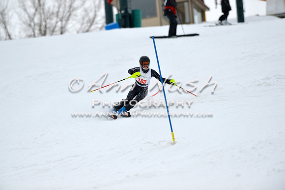 alpine_2015-01-22_11-59-31_DSC_0933_©AnnNashPhotographyLLC_2015