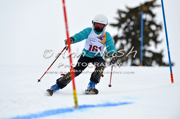 alpine_2015-02-14_13-10-42_DSC_8028_©AnnNashPhotographyLLC_2015