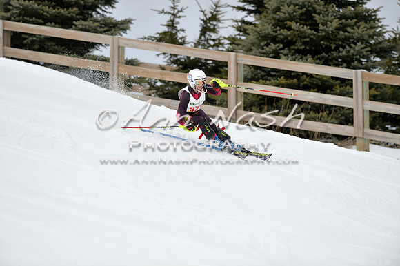 alpine_2015-01-22_11-40-29_DSC_0244_©AnnNashPhotographyLLC_2015