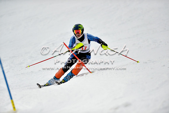 alpine_2015-01-22_12-45-47_DSC_2266_©AnnNashPhotographyLLC_2015