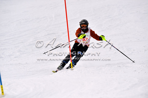 alpine_2015-01-22_12-52-45_DSC_2500_©AnnNashPhotographyLLC_2015