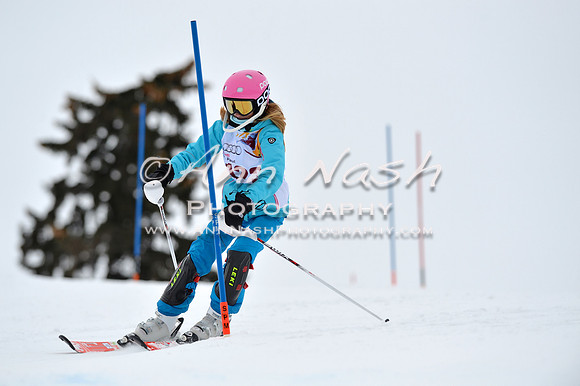 alpine_2015-02-14_13-11-53_DSC_8058_©AnnNashPhotographyLLC_2015