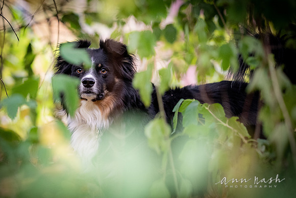 untitled-Oct-14-2024-DSC_0863-©ANP