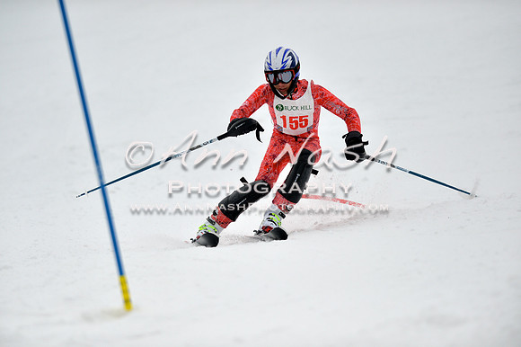 alpine_2015-01-22_12-23-46_DSC_1677_©AnnNashPhotographyLLC_2015