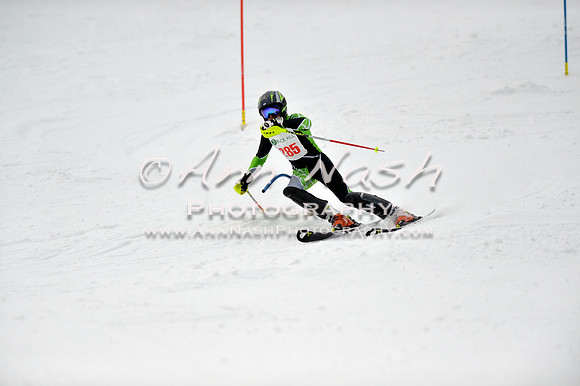 alpine_2015-01-22_12-29-17_DSC_1859_©AnnNashPhotographyLLC_2015