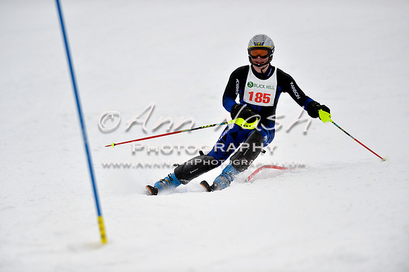 alpine_2015-01-22_12-24-58_DSC_1727_©AnnNashPhotographyLLC_2015