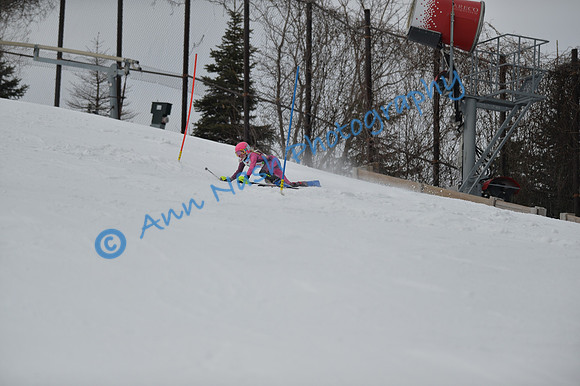 alpine_2015-01-22_12-47-28_DSC_2315_©AnnNashPhotographyLLC_2015