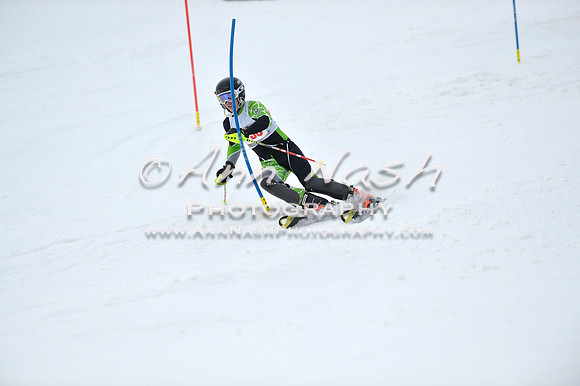 alpine_2015-01-22_11-56-17_DSC_0854_©AnnNashPhotographyLLC_2015