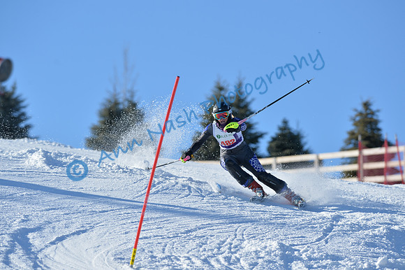 alpine_2015-01-22_14-56-19_DSC_3706_©AnnNashPhotographyLLC_2015