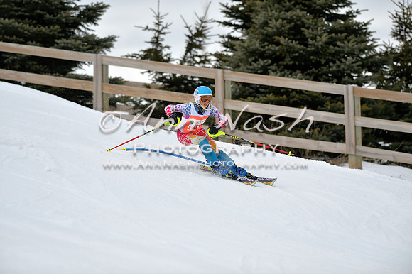 alpine_2015-01-22_12-03-43_DSC_1085_©AnnNashPhotographyLLC_2015