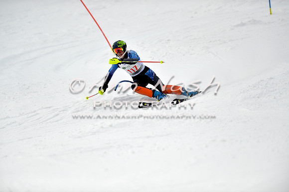 alpine_2015-01-22_12-45-46_DSC_2262_©AnnNashPhotographyLLC_2015