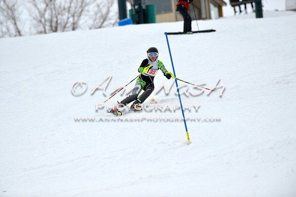 alpine_2015-01-22_11-56-16_DSC_0852_©AnnNashPhotographyLLC_2015