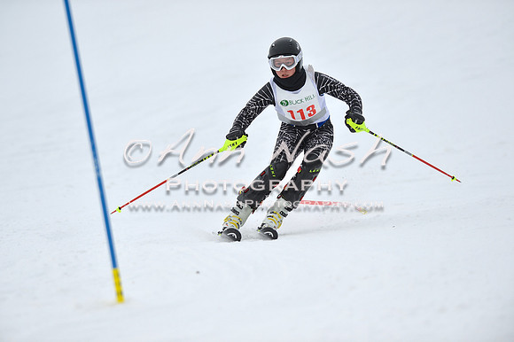 alpine_2015-01-22_11-55-21_DSC_0825_©AnnNashPhotographyLLC_2015