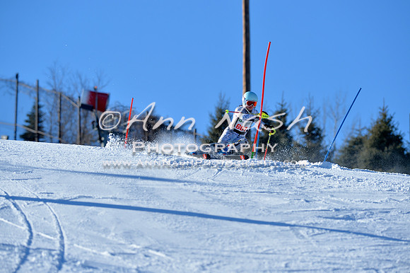 alpine_2015-01-22_14-41-15_DSC_2985_©AnnNashPhotographyLLC_2015