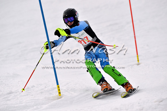 alpine_2015-01-22_12-51-23_DSC_2457_©AnnNashPhotographyLLC_2015