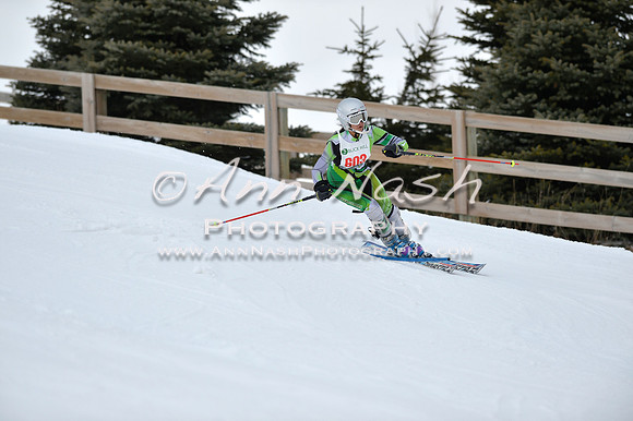 alpine_2015-01-22_12-07-31_DSC_1188_©AnnNashPhotographyLLC_2015
