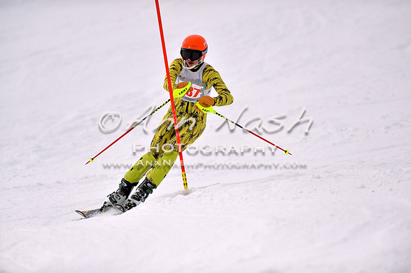 alpine_2015-01-22_12-46-43_DSC_2296_©AnnNashPhotographyLLC_2015