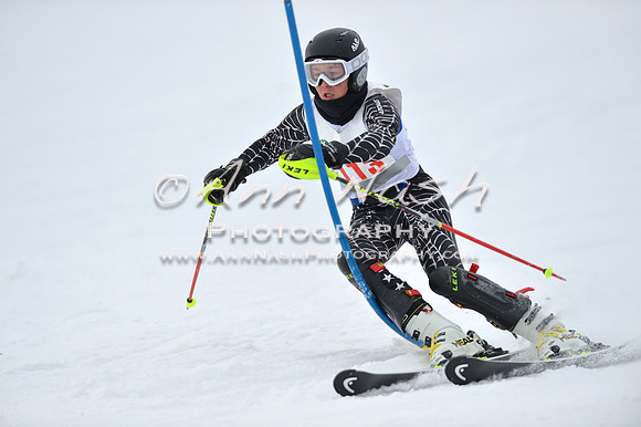 alpine_2015-01-22_11-55-22_DSC_0829_©AnnNashPhotographyLLC_2015