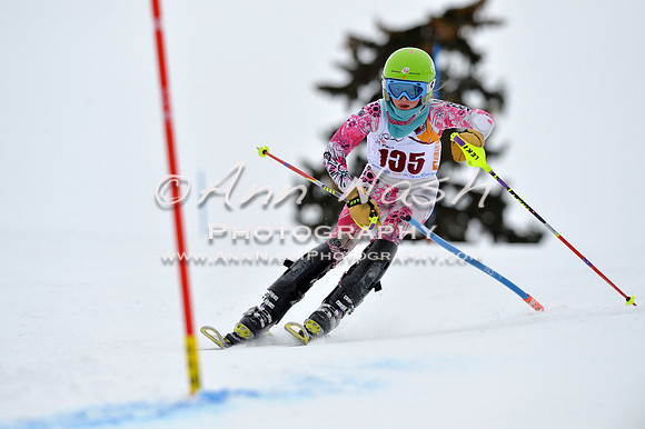 alpine_2015-02-14_13-07-22_DSC_7969_©AnnNashPhotographyLLC_2015