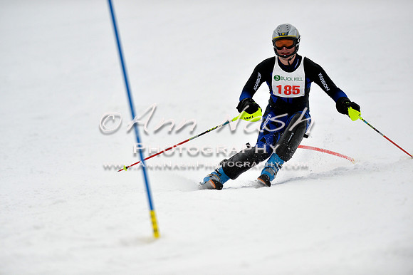 alpine_2015-01-22_12-24-58_DSC_1728_©AnnNashPhotographyLLC_2015