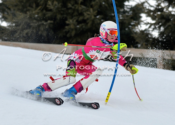alpine_2015-01-22_12-09-00_DSC_1221_©AnnNashPhotographyLLC_2015