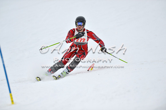 alpine_2015-01-22_11-50-22_DSC_0656_©AnnNashPhotographyLLC_2015