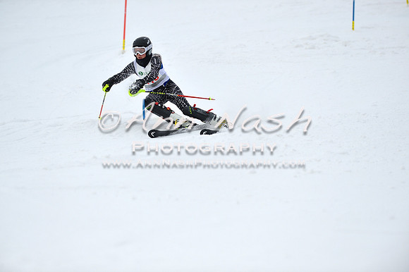 alpine_2015-01-22_11-55-20_DSC_0818_©AnnNashPhotographyLLC_2015
