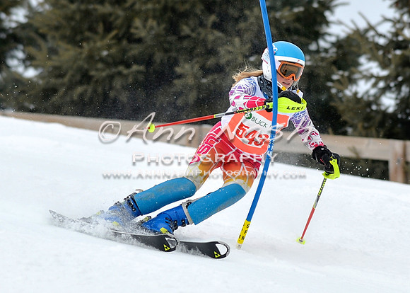 alpine_2015-01-22_12-03-42_DSC_1079_©AnnNashPhotographyLLC_2015
