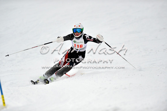 alpine_2015-01-22_12-32-07_DSC_1952_©AnnNashPhotographyLLC_2015