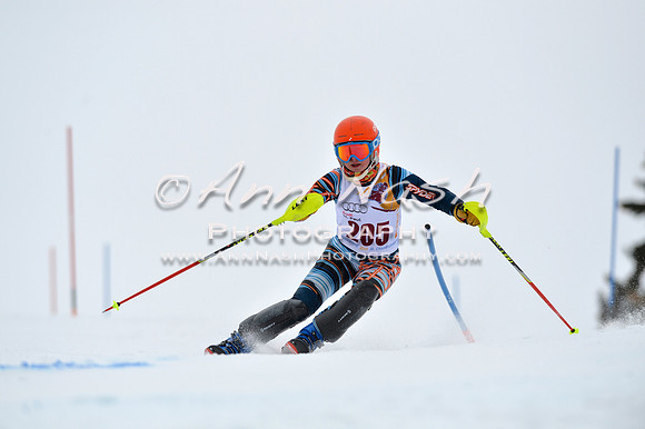 alpine_2015-02-14_13-31-48_DSC_8378_©AnnNashPhotographyLLC_2015