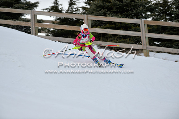 alpine_2015-01-22_12-09-02_DSC_1223_©AnnNashPhotographyLLC_2015