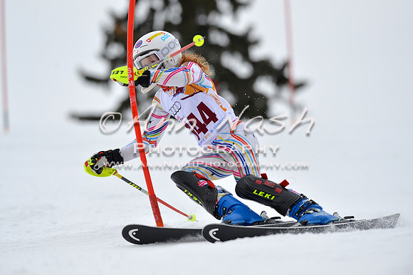 alpine_2015-02-14_13-16-01_DSC_8138_©AnnNashPhotographyLLC_2015