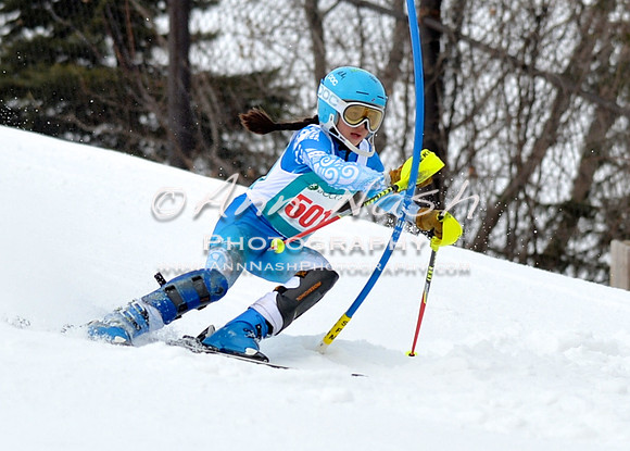 alpine_2015-01-22_11-35-39_DSC_0082_©AnnNashPhotographyLLC_2015
