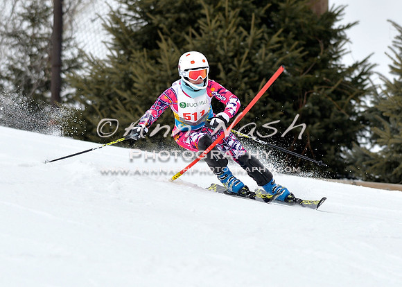 alpine_2015-01-22_11-36-10_DSC_0101_©AnnNashPhotographyLLC_2015