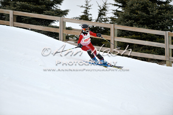 alpine_2015-01-22_11-51-17_DSC_0705_©AnnNashPhotographyLLC_2015