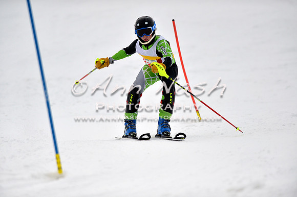 alpine_2015-01-22_12-27-21_DSC_1804_©AnnNashPhotographyLLC_2015