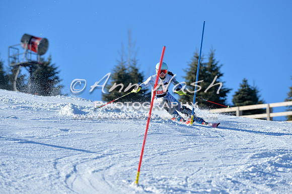 alpine_2015-01-22_14-41-16_DSC_2988_©AnnNashPhotographyLLC_2015