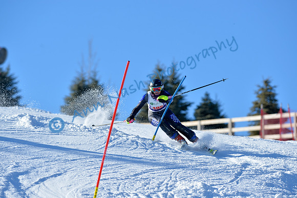 alpine_2015-01-22_14-56-19_DSC_3705_©AnnNashPhotographyLLC_2015