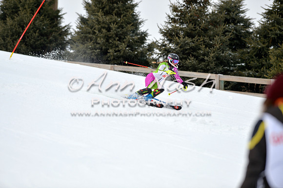 alpine_2015-01-22_11-33-48_DSC_9971_©AnnNashPhotographyLLC_2015